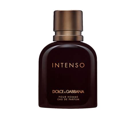 intenso dolce gabbana parfum